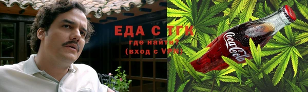 индика Протвино