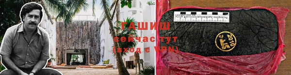 индика Абдулино